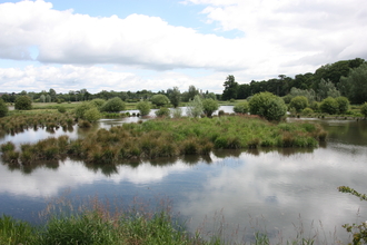 King's Meads Nature Reserve