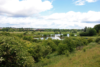 King's Meads Nature Reserve