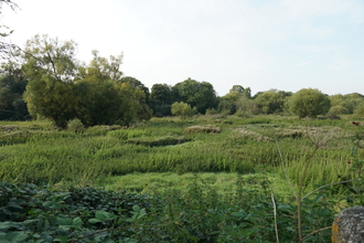 Beane Marsh Nature Reserve