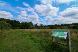 Frogmore Meadows