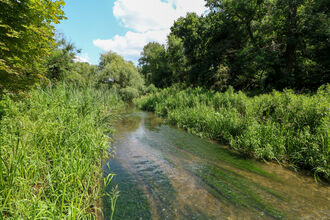 Cassiobury Park Nature Reserve