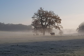 Winter Panshanger Park