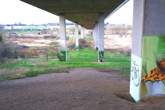 Wildlife Murals King's Meads