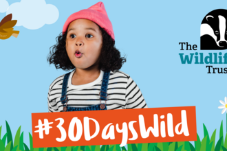 30 days wild promo