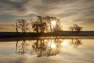 Trees reflected over a lake on a misty winter morning with the sun shining through their branches