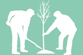 Two people planting a tree