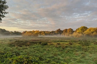 An image of Beane Marsh with fog rolling over the grassland and a cloudy sky