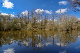 Blue sky and trees reflected in expanse of water at Stokers Lake