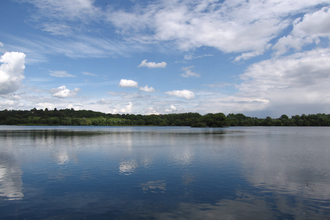 Expansive lake with trees on the horizon and blue skies