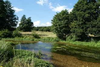 The clear waters of river Mimram on a sunny day, there are water plants in the river and there is vegetation on the banks. In the background is a meadow extending into the distance and a couple of trees against a blue sky.