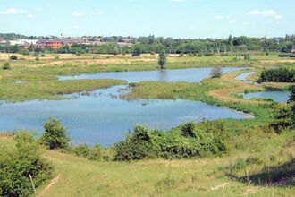 Bird's eye view of King's Meads Nature Reserve on a sunny day