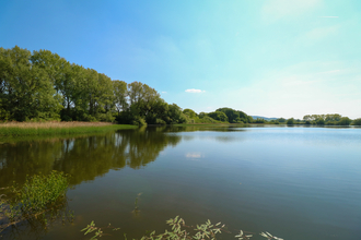 Lake bordered by reeds and trees on a sunny day with clear blue skies