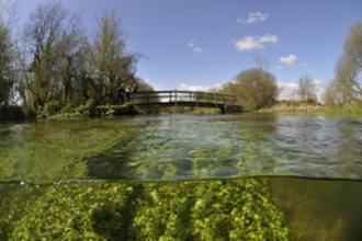 The bottom quarter of the photo is underwater showing beneath the river, above shows the surface of the river looking towards a wooden bridge with 3 people on it. The banks of the river are dotted with a few trees.
