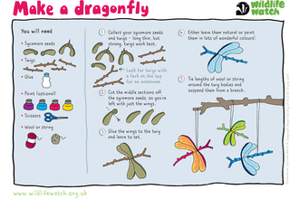 How to make a dragonfly