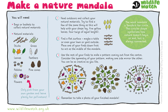 how to make a nature mandala