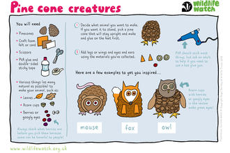 how to make pine cone creatures