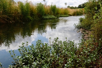 The River Beane at Woodhall Estate. It is a dry cloudy day the river Rib divides the scene diagonally in half from the bottom left corner. Its banks are a mixture of brown grass and green vegetation and the cloudy sky is reflected in the river’s surface. 