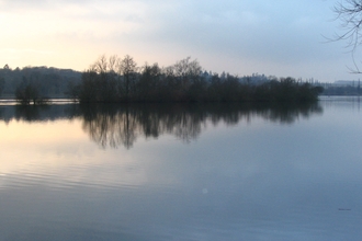 Winter scene on a lake with an island of trees