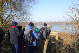 A group of people wearing hats and rain coats gathered at a view point in a gap between trees on a clear winter day. They are looking out over a large flat lake fringed with bare deciduous trees to spot birds. 