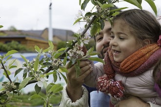 Apple tree branch in blossom. A small girl is being held up by a man to look at the blossom.