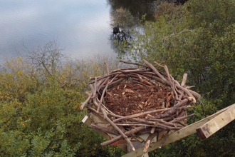 Osprey Nest at Stocker's Lake