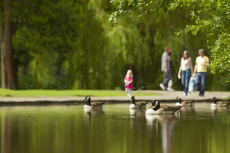 People walking alongside a lake in a park on a sunny summer day. There are Canada Geese swimming in the lake.
