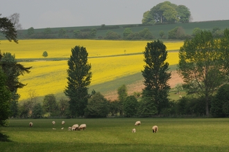 Farming landscape
