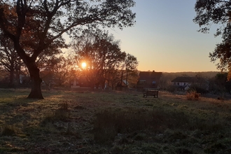 Patmore Heath
