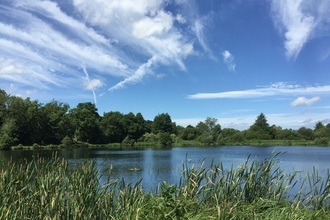 Panshanger Park (c) Tim Hill