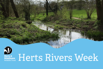 A photo of a river with a blue wavy box overlaid at the bottom which has the Herts and Middlesex Wildlife Trust logo in the bottom left corner and the text "Herts Rivers Week"
