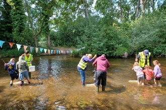 Stream dipping at Stanborough Park