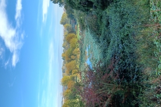A view over the reserve taken from the chalk bank showing autumnal colours and the lake