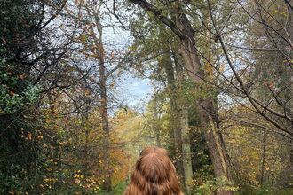 Looking up in woodland