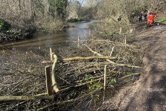 Creating shaggy margins at Stanborough Park 