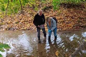 Volunteers collecting eDNA samples