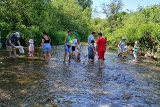 Herts Rivers Week - River dipping at Cassiobury Park 