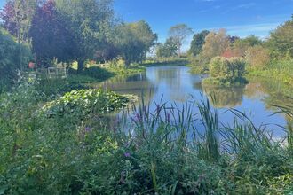 Borough Grade II Pond at Harefield Hospital 
