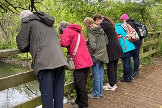 Carers in Herts Wellbeing Walk at Stanborough Park with six people stood on a bridge (c) Cathy Walker