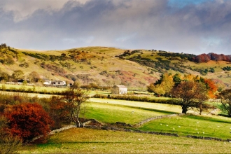 Landscape farmland