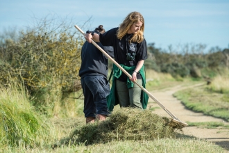 Volunteers raking grass