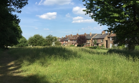 Harpenden Common