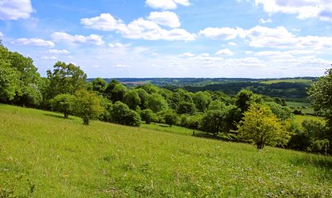 Aldbury Nowers