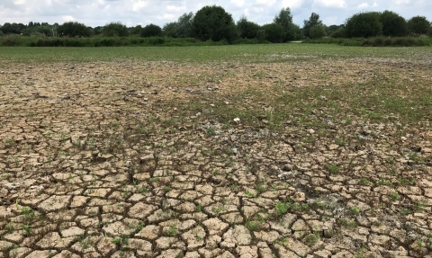 Dry pond at King's Meads