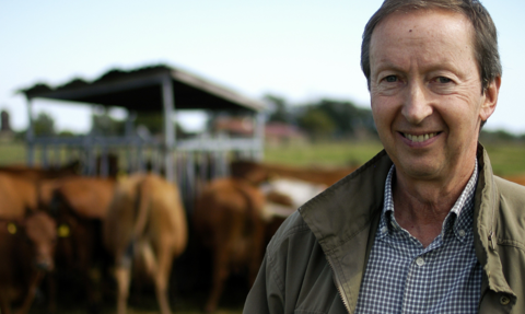 Farmer smiles while cattle feed in the background