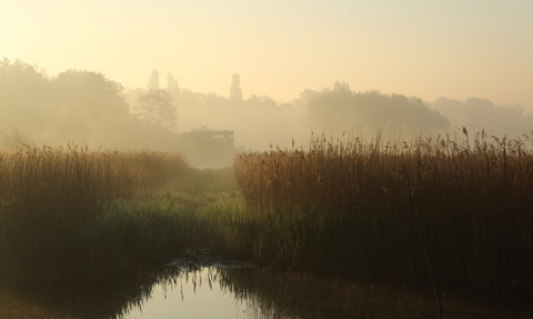 Amwell nature reserve on a misty morning. Pond in the foreground and a hide in the background nestled in the trees and shrubs overlooking the reeds