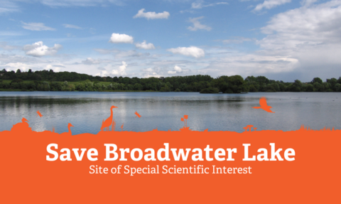 Large still lake bordered by trees on a bright day, the blue gently clouded sky is reflected in the lake’s surface. Orange graphic on the bottom large text reads "Save Broadwater Lake", small text reads "Site of Special Scientific Interest" 