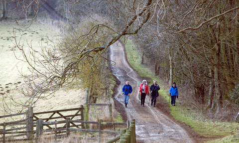 winter walk