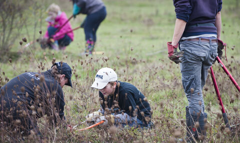 volunteers