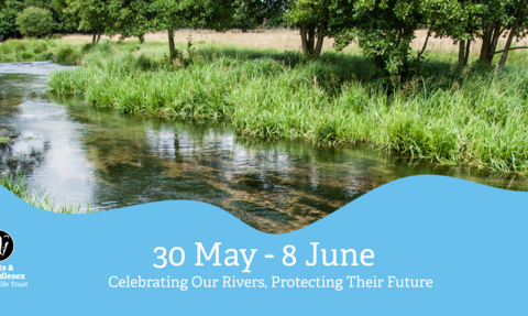 A photo of a river with lush green banks dotted with trees with a blue wavy box overlaid at the bottom which has the Herts and Middlesex Wildlife Trust logo in the bottom left corner and the text "Herts Rivers Week"