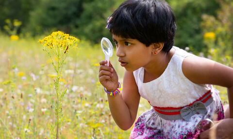 A child in a meadow using a magnifying glass to look at a bug on a plant